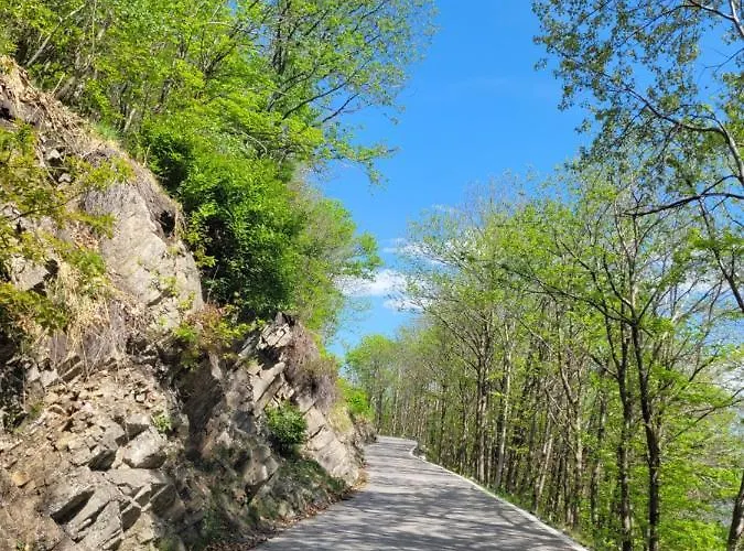 Casa Festivity ロカルノ