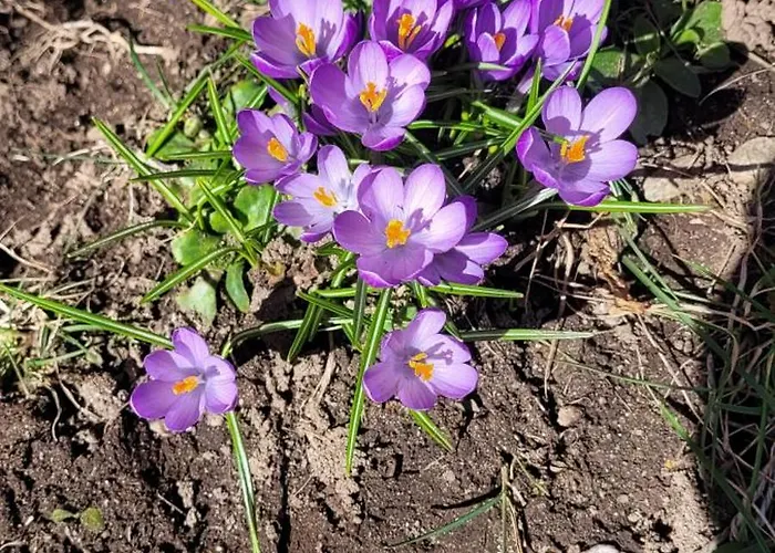 アパート Casa Festivity